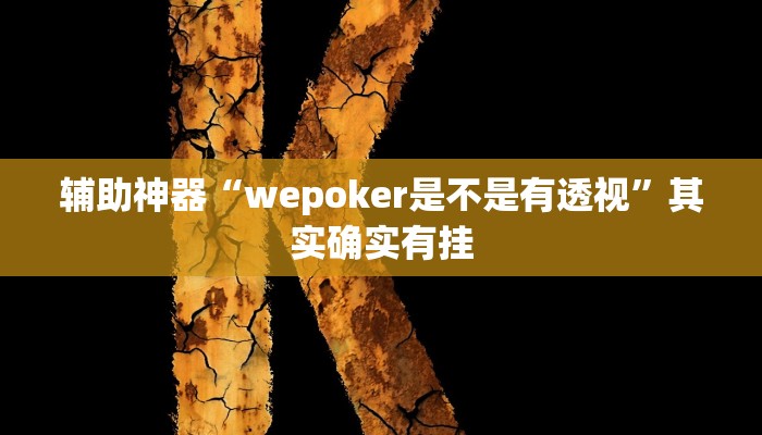 开挂辅助工具“werplan透视挂辅助教程(作弊)辅助透视教程”