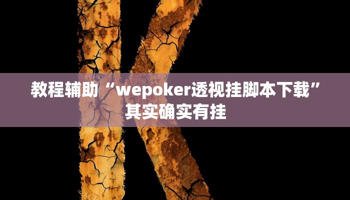 教程辅助“werplan辅助透视软件脚本”开挂详细教程