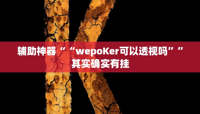 教程辅助“werplan透视作弊方法”开挂详细教程