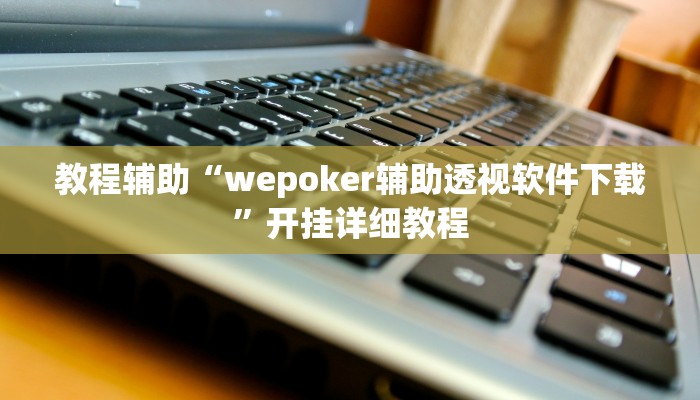 教程辅助“wepoker辅助透视软件下载”开挂详细教程