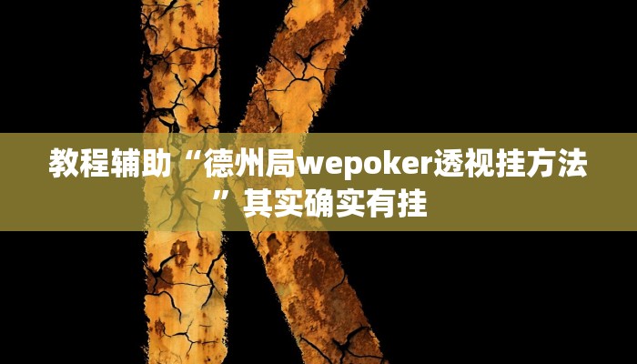 教程辅助“WePoKer透视底牌脚本”开挂详细教程