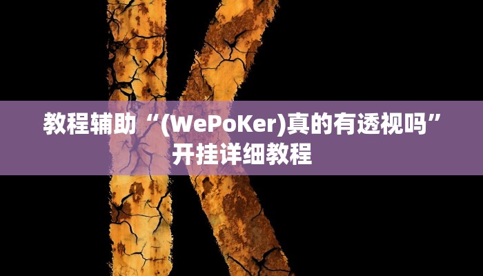 教程辅助“(WePoKer)真的有透视吗”开挂详细教程