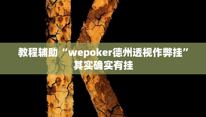 玩家辅助神器:“wepoker德州局透视挂作弊方法”其实确实有挂