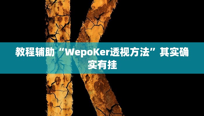 教程辅助“WepoKer透视方法”其实确实有挂