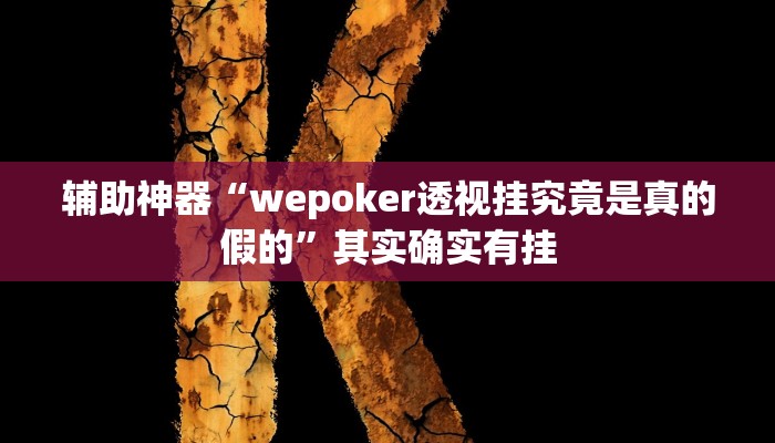 玩家辅助神器:“wepoker德州软件挂”其实确实有挂