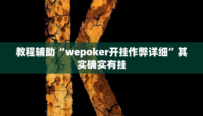 玩家辅助神器:“wepokerplus透视挂详细”其实确实有挂