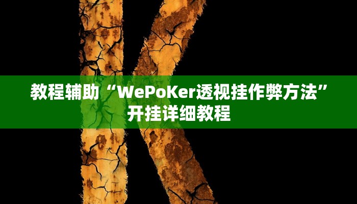 教程辅助“WePoKer透视挂作弊方法”开挂详细教程