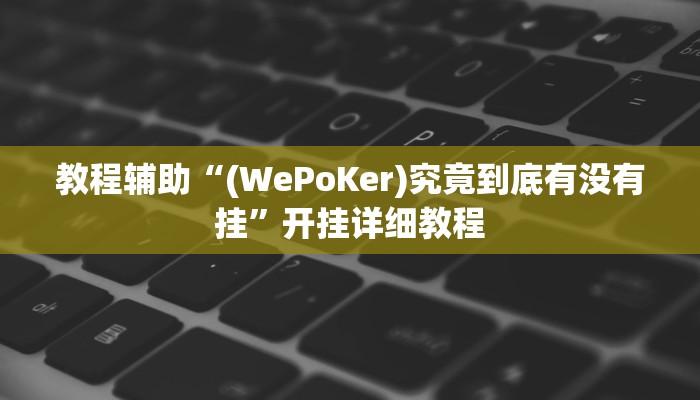 玩家辅助神器:“wepoker透视辅助挂教程”其实确实有挂