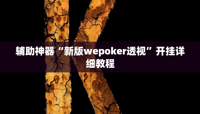 辅助神器“新版wepoker透视”开挂详细教程