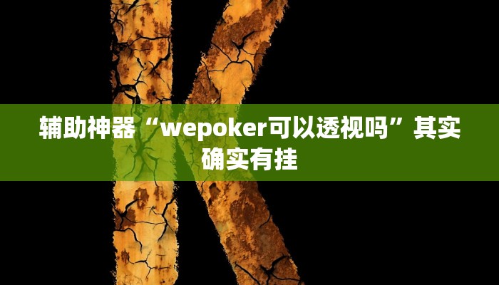 玩家辅助神器:“werplan辅助透视软件脚本”其实确实有挂