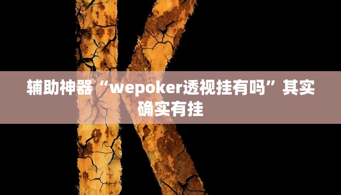 辅助神器“hhpoker有没有挂”开挂详细教程