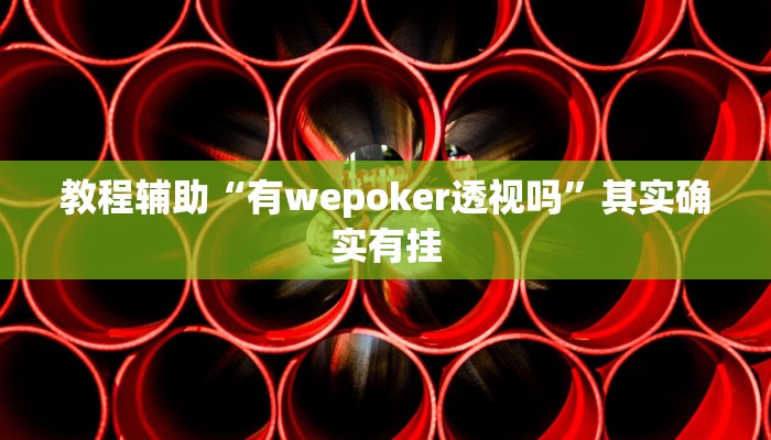 教程辅助“有wepoker透视吗”其实确实有挂