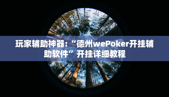 玩家辅助神器:“德州wePoker开挂辅助软件”开挂详细教程