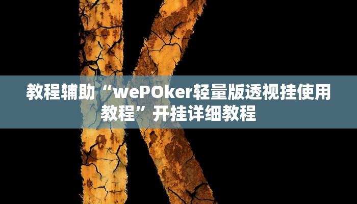 教程辅助“wePOker轻量版透视挂使用教程”开挂详细教程