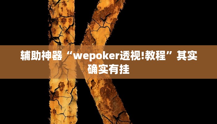 教程辅助“impoker透视挂破解版”开挂详细教程