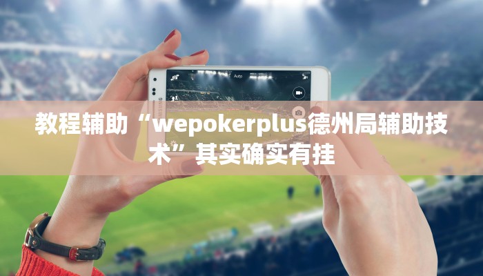 教程辅助“wepokerplus德州局辅助技术”其实确实有挂