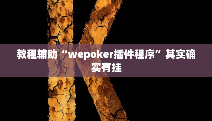 教程辅助“wepoker插件程序”其实确实有挂