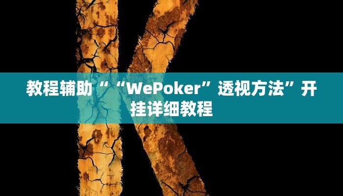 教程辅助““WePoker”透视方法”开挂详细教程
