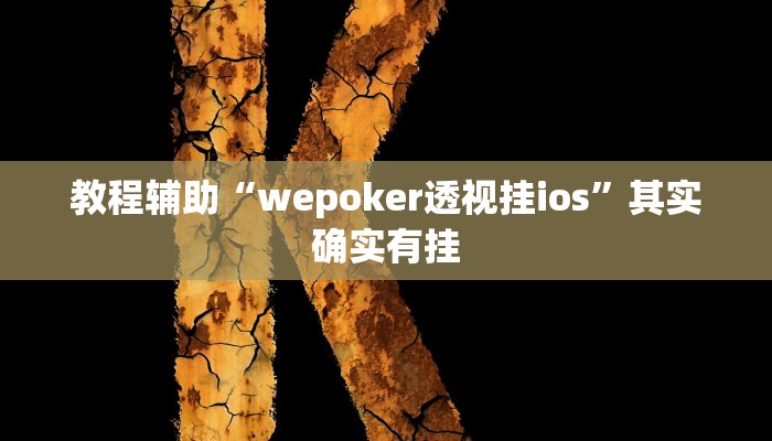 教程辅助“wepoker透视挂ios”其实确实有挂