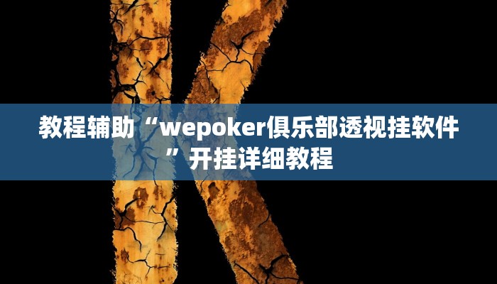 教程辅助“wepoker俱乐部透视挂软件”开挂详细教程