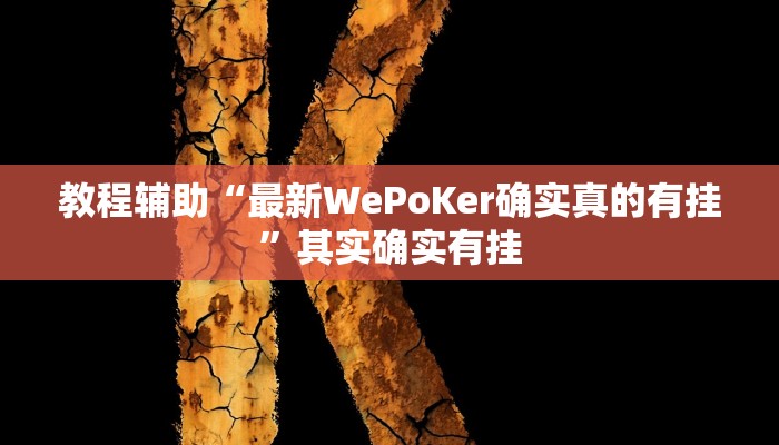 辅助教程“德州局wepoker辅助挂(透视 ),难怪经常输有猫腻 (透视)