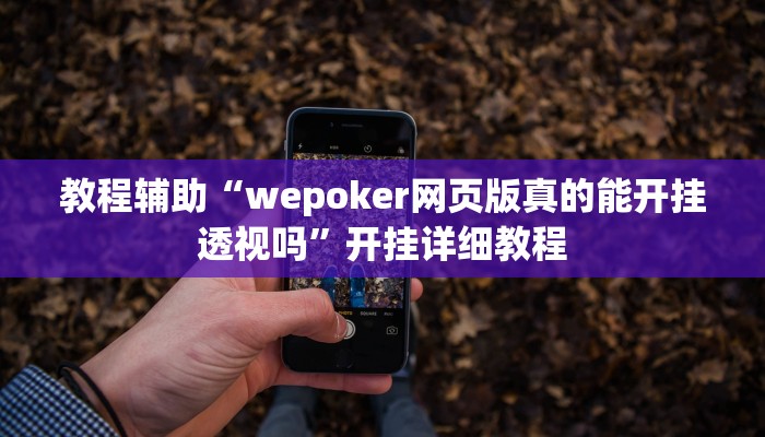 教程辅助“wepoker网页版真的能开挂透视吗”开挂详细教程