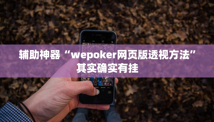 辅助神器“wepoker网页版透视方法”其实确实有挂