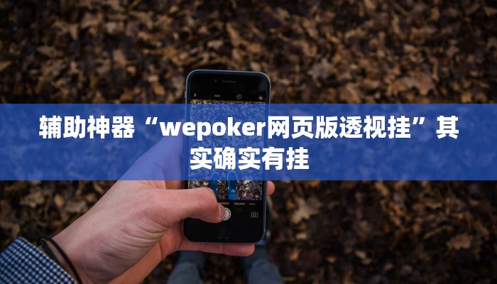 辅助神器“wepoker网页版透视挂”其实确实有挂