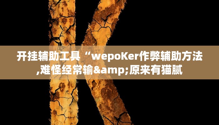 开挂辅助工具“wepoKer作弊辅助方法,难怪经常输&原来有猫腻
