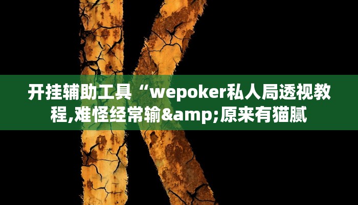 开挂辅助工具“wepoker私人局透视教程,难怪经常输&原来有猫腻