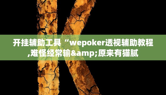 开挂辅助工具“wepoker透视辅助教程,难怪经常输&原来有猫腻