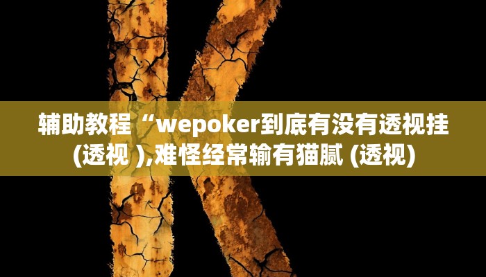 辅助教程“wepoker到底有没有透视挂(透视 ),难怪经常输有猫腻 (透视)