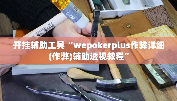 开挂辅助工具“wepokerplus作弊详细(作弊)辅助透视教程”
