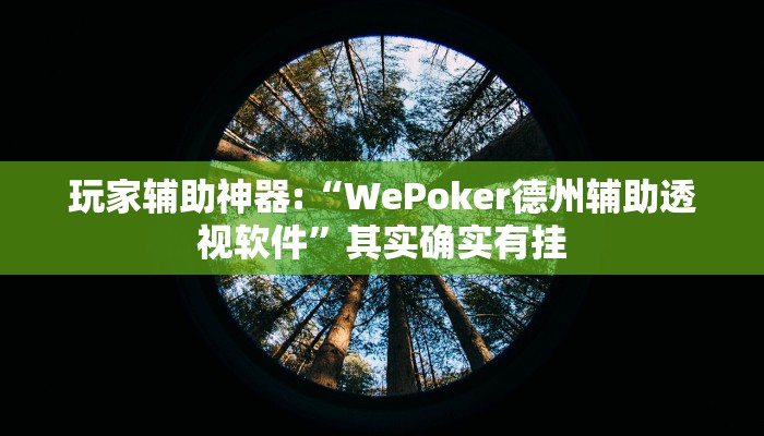 玩家辅助神器:“WePoker德州辅助透视软件”其实确实有挂
