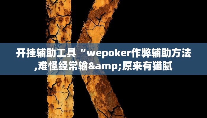 开挂辅助工具“wepoker作弊辅助方法,难怪经常输&原来有猫腻