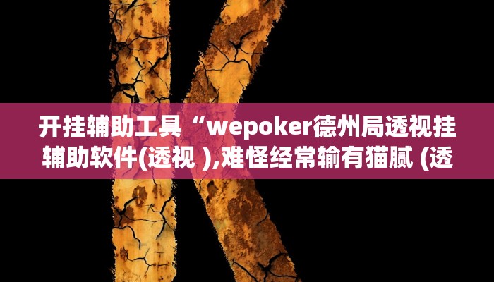 开挂辅助工具“wepoker德州局透视挂辅助软件(透视 ),难怪经常输有猫腻 (透视)