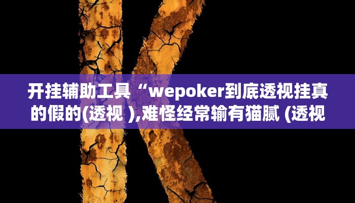 开挂辅助工具“德州wepoker作弊挂,难怪经常输&原来有猫腻