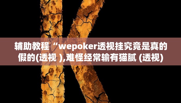 开挂辅助工具“wepoker私人局辅助挂软件(透视 )!详细教程透视方法
