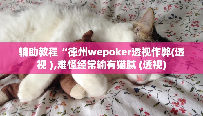 辅助教程“wepoker透视脚本,难怪经常输&原来有猫腻