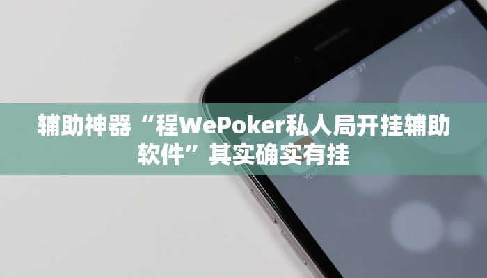 玩家辅助神器:“wepoker轻量版辅助作弊器工具”其实确实有挂