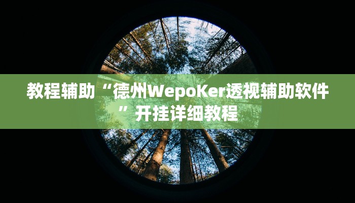 开挂辅助工具“wepoker德州透视辅助软件(作弊)辅助透视教程”