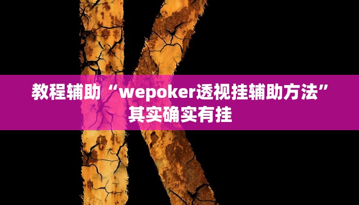辅助神器“德州局wepoker作弊透视挂”其实确实有挂
