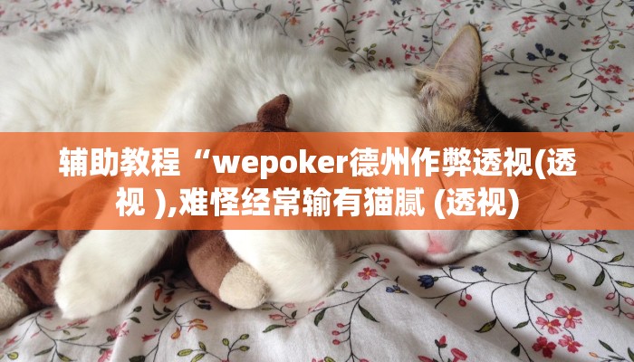 玩家辅助神器:“wepoker德州软件挂”开挂详细教程