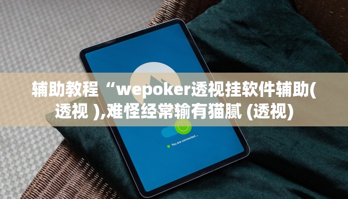 辅助教程“wepoker透视挂软件辅助(透视 ),难怪经常输有猫腻 (透视)