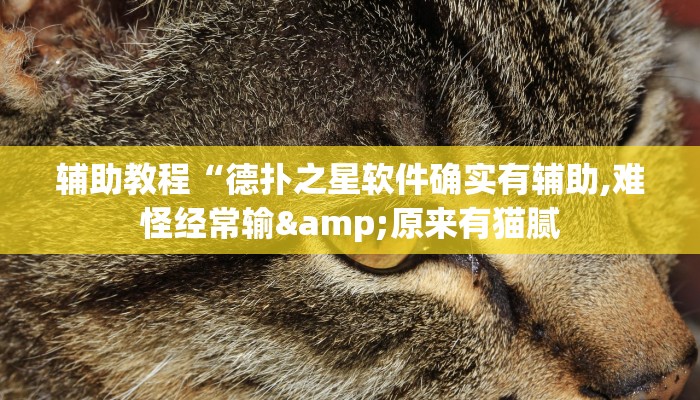 辅助教程“德扑之星软件确实有辅助,难怪经常输&原来有猫腻