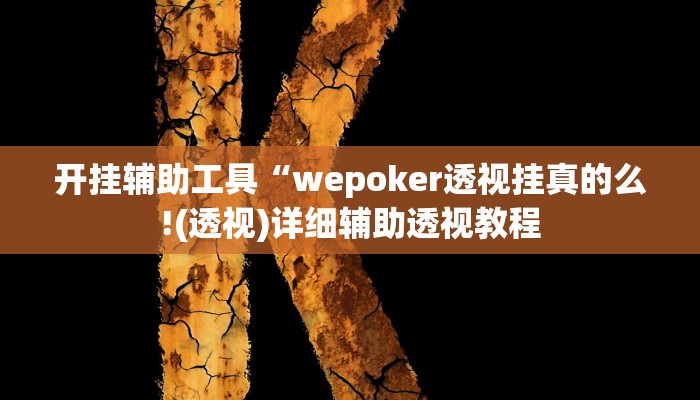 开挂辅助工具“wepoker透视挂真的么!(透视)详细辅助透视教程