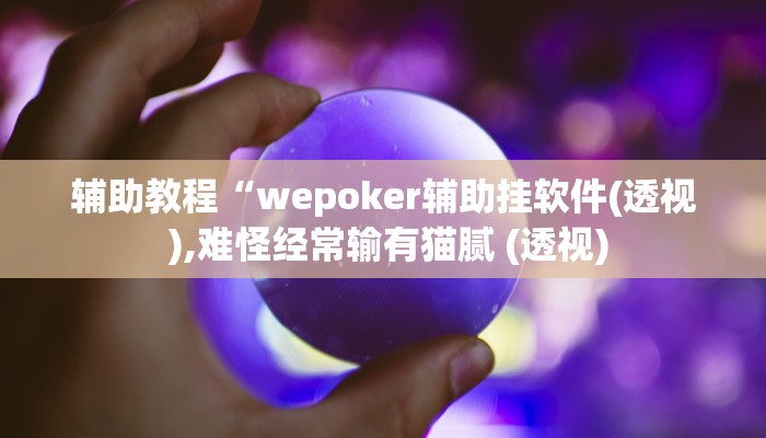 辅助神器“WePoKer作弊开挂方法”开挂详细教程