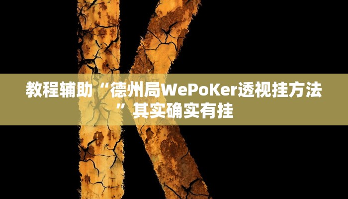 开挂辅助工具“wepoker开挂作弊详细(透视 ),难怪经常输有猫腻 (透视)