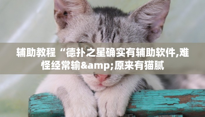 玩家辅助神器:“wepoker有透视”其实确实有挂