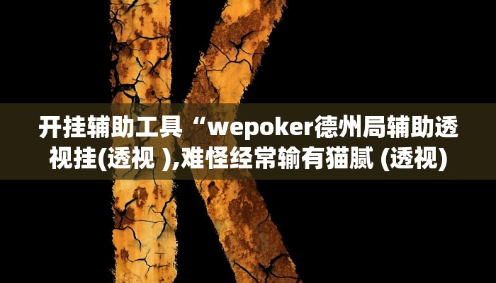 开挂辅助工具“wepoker德州局辅助透视挂(透视 ),难怪经常输有猫腻 (透视)